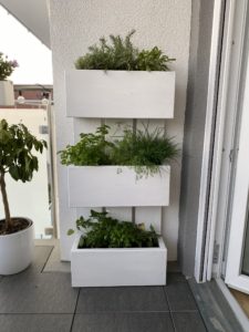Unser DIY Gräutergrarten