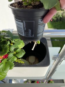 Bewässerungssystem Blumenkasten Lechuza