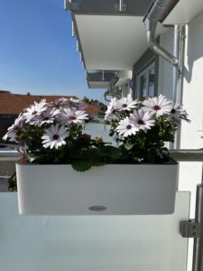Blumenkasten Lechuza